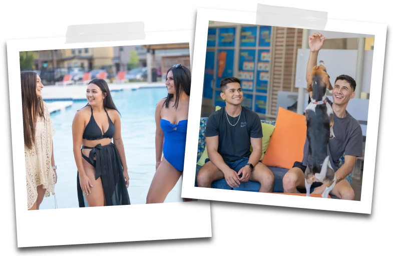 The Walk on Shop Road Photos